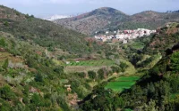 Tétouan : une partie de la forêt transformée en lotissement illégal ?
