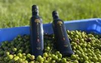 De l'huile d'olive brésilienne pour le Maroc
