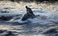 Sebta en guerre contre les jet-skis en provenance du Maroc