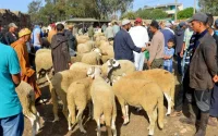 Cette année, les Marocains ont boudé l'Aid al Adha