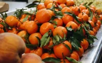 Explosion des exportations marocaines de légumes et de fruits vers la Russie 