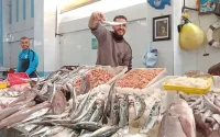 Maroc : très chère sardine