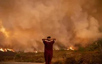 L'homme à l'origine de la majorité incendies de forêt au Maroc