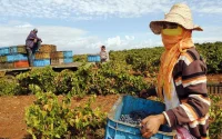 Agriculture : Projet novateur entre le Maroc et Israël