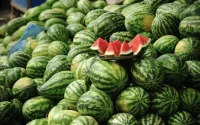 Pastèques : le Maroc chute dans le classement mondial