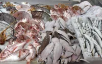 Le prix du poisson s'envole au Maroc