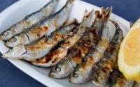 La sardine, un poisson devenu hors de prix au Maroc