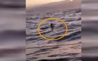 Un Marocain sauvé in extremis en mer (vidéo)
