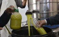 Maroc : l'huile d'olive toujours (trop) chère
