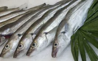 L'Espagne ordonne le retrait du marché de poisson marocain