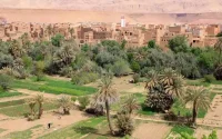 Les oasis marocaines en péril