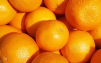 Présence de pesticides dans des oranges : l'ONSSA réagit