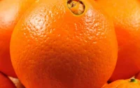 Le Maroc va augmenter sa production d'orange Navel pour concurrencer l'Espagne