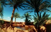 Tourisme : l'Algérie, future concurrente du Maroc ? 