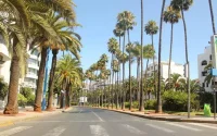 Casablanca dit adieu aux palmiers