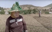 Le Rif en ébullition depuis la légalisation de l'usage licite du cannabis (Reportage Arte)
