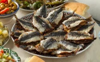 Maroc : la sardine, autrefois « poisson des pauvres », devient un luxe