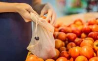 Un bug européen sur les importations de tomates marocaines déclenche la polémique
