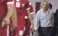 Vahid Halilhodzic se dit « prêt à démissionner » 