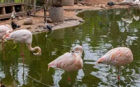 Agadir : où en est le projet de rénovation de la vallée des oiseaux ?