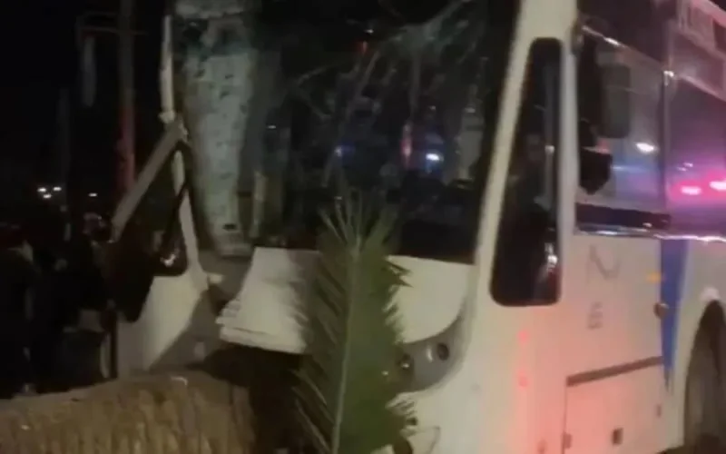 Agadir : un bus percute à vive allure un palmier, 59 blessés