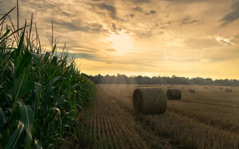 Le Maroc, « minéral critique » des USA : Vers une loi historique pour annuler les sanctions contre le phosphate