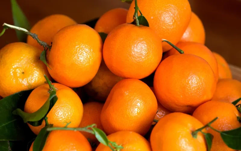 La Russie bloque l'entrée d'agrumes marocains