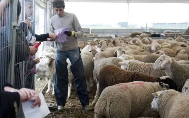 Aïd al-Adha 2026 : la date en France est connue