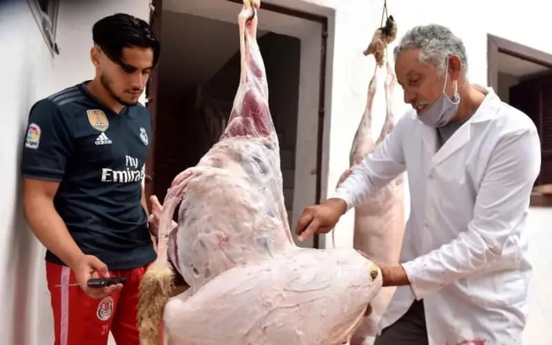 Les conseils de l'ONSSA pour une bonne fête de l'Aïd-Al-Adha