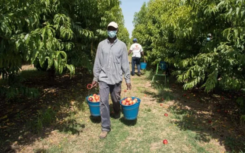 Italie : un Marocain à la tête d'un réseau exploitant illégalement des migrants