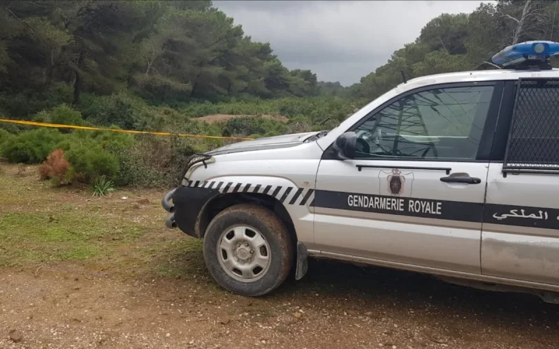 Nord du Maroc : La Gendarmerie élucide un meurtre violent et interpelle 14 trafiquants