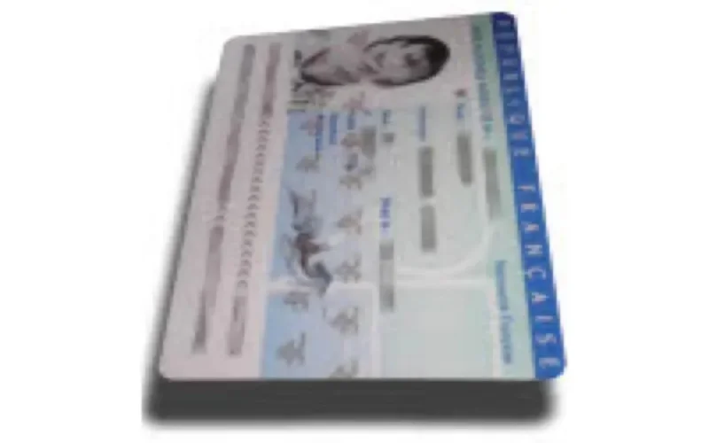 123.000 étrangers naturalisés en France en 2005 