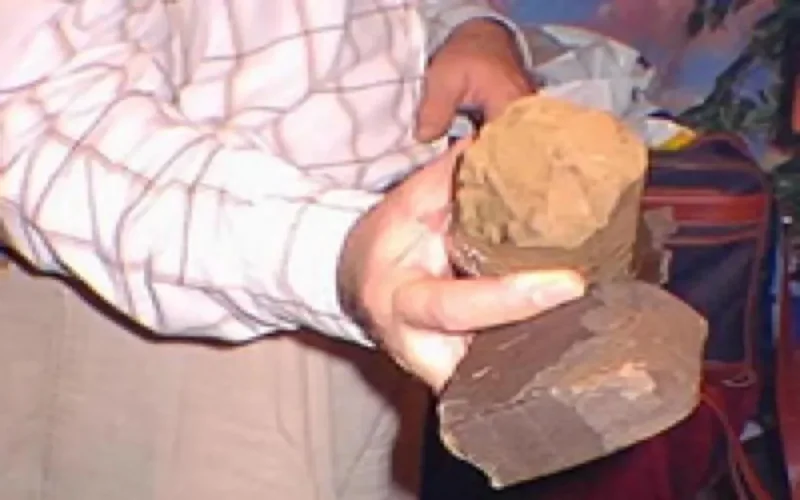 Maroc : saisie de 1,3 tonne de Cannabis destinée au Pays-Bas