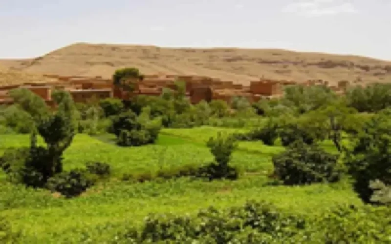 Maroc : 43.000 hectares privatisés en 2007