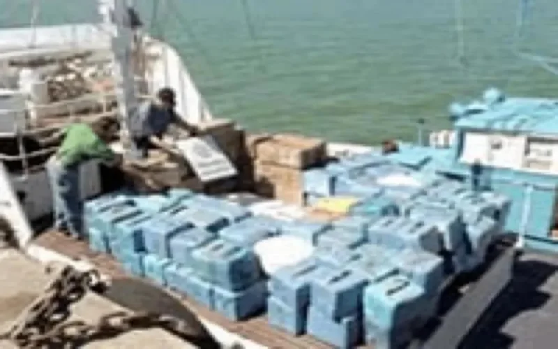 Le Maroc, nouvelle plaque tournante des drogues dures ? 