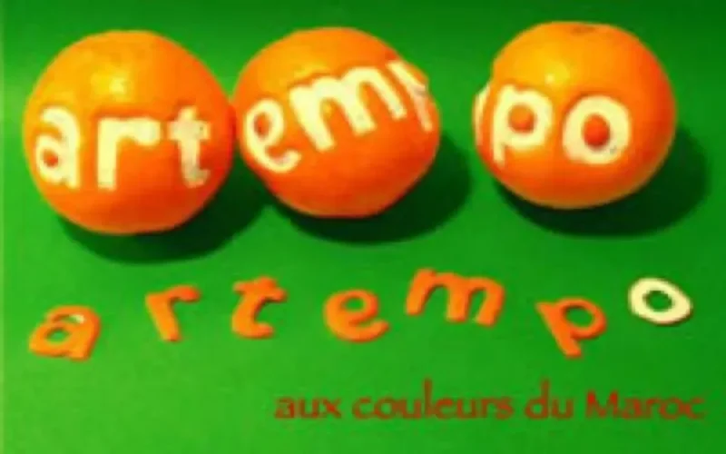 Le Maroc à l'honneur au Festival d'arts plastiques de Cugnaux 