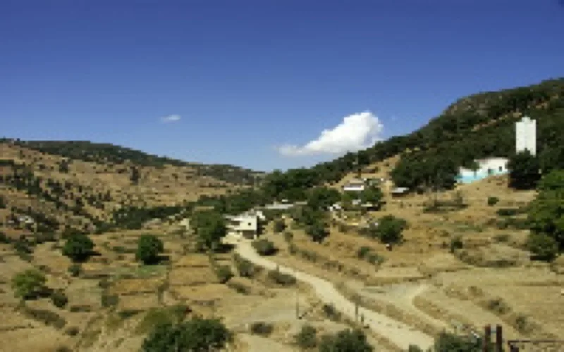 Reportage : La vie après le hasch