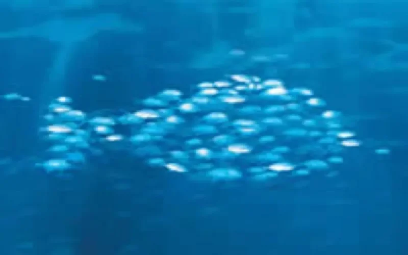 Environnement : Le Maroc cherche à rattraper son retard