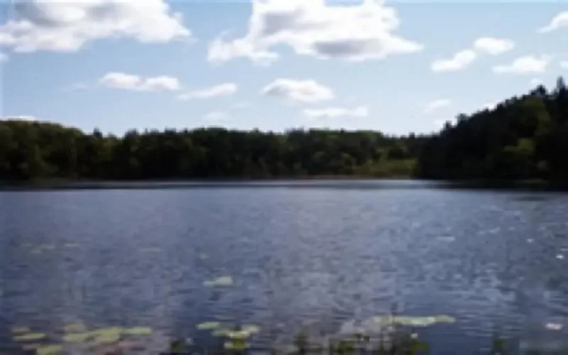 Espagne : Un marocain meurt noyé dans un lac 