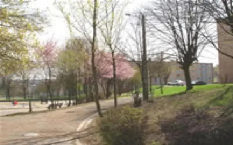 Festival des cultures sahraouie et amazighe à Behren-lès-Forbach 