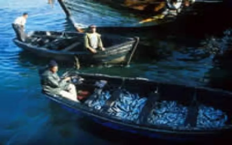 Le Maroc renouvelle un accord de pêche avec l'Espagne