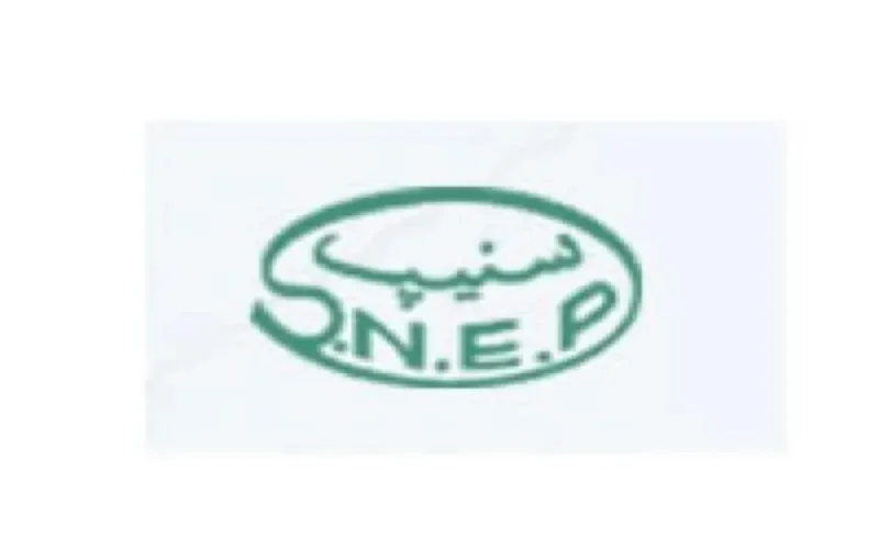 Concurrence : Le rapport Snep