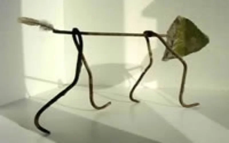 Croissance : Le Maroc moins performant que ses voisins