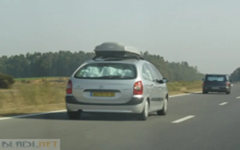 Diaspora : Rêves, meurtrissures, errements