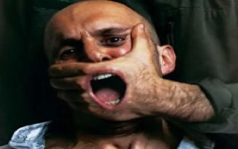 Plumes en liberté conditionnelle