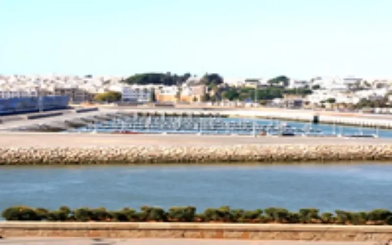 Les Arabes, premiers investisseurs au Royaume