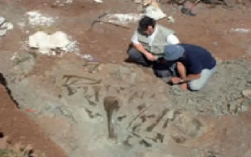 Une "Route des dinosaures" entre Demnat et Ouarzazate 