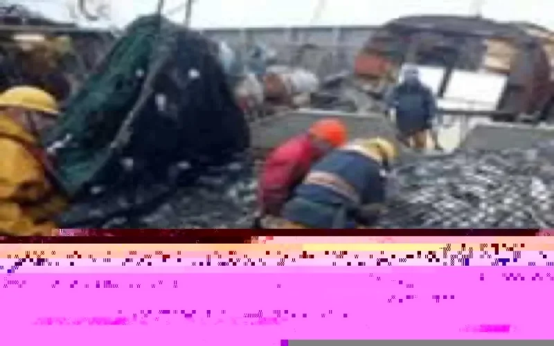 Le Maroc et le Japon coopèrent autour de la pêche 