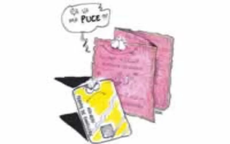 Sagem Sécurité va produire 12 millions de permis de conduire marocains