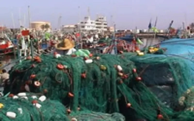 Pourquoi le poisson marocain est victime de son succès